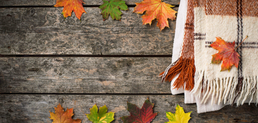 Qué plantas poner en tu jardín en otoño